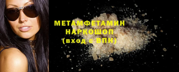 прущие грибы Вязьма