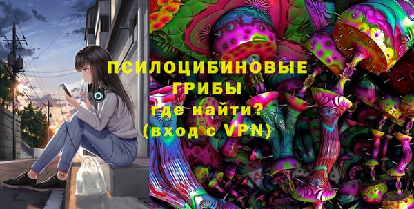 PSILOCYBIN Абинск