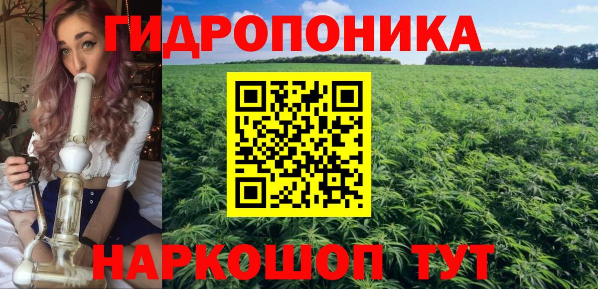 Каннабис OG Kush Котовск